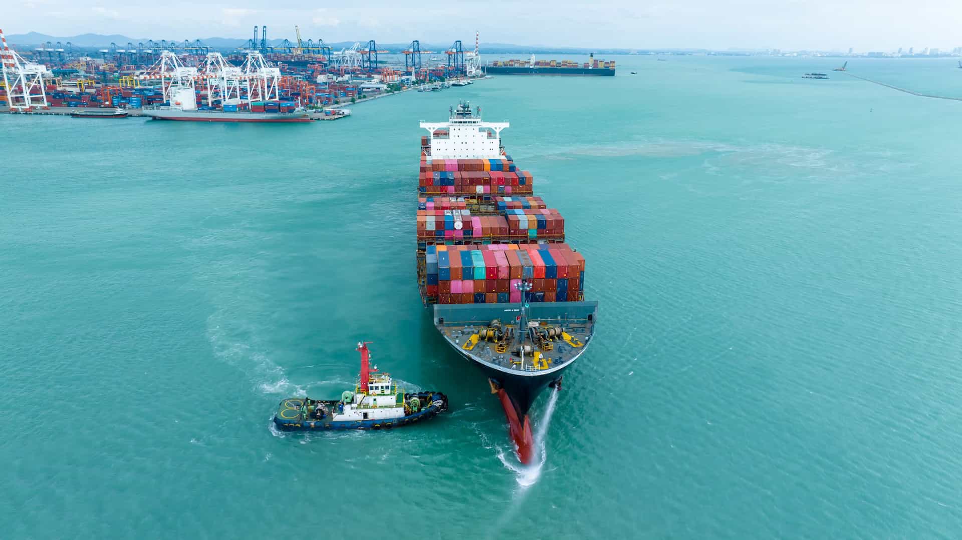 Uzman Kadro - 20+ Kişilik Ekip