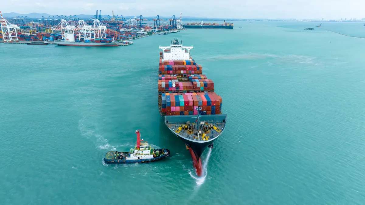 Müşteri Deneyimi ve Başarısı