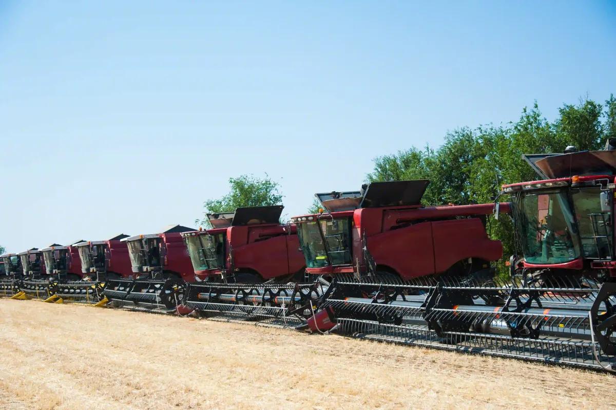 Kırsal Kalkınma (TKDK) Destekleri