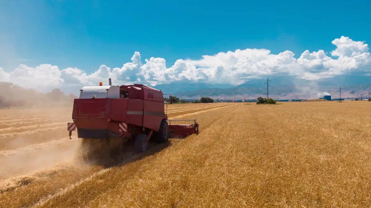 Kırsal Kalkınma (TKDK) Destekleri