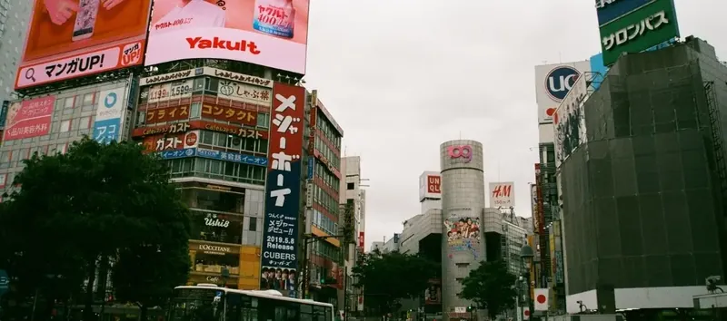 Yurt Dışı Reklam ve Tanıtım Desteği Nedir